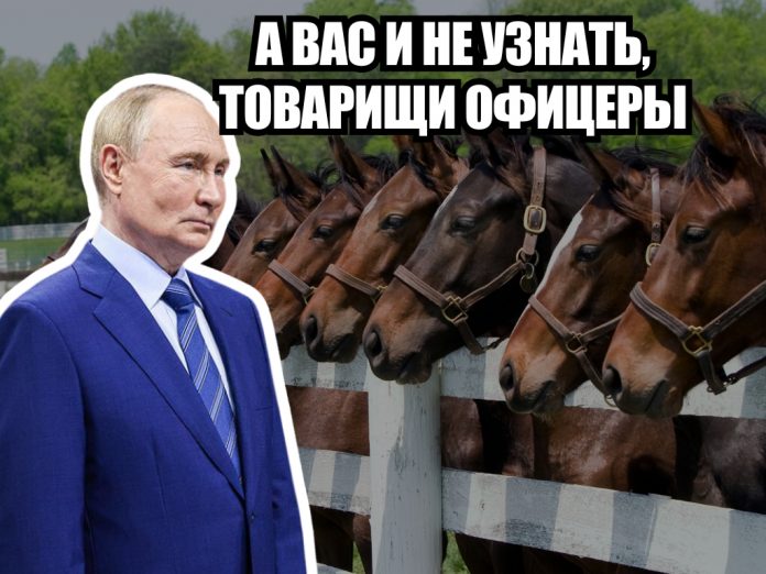 Генералы в ярости: как Путин превратил армию в цирк с конями